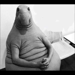 Meet your Posher, Khilah